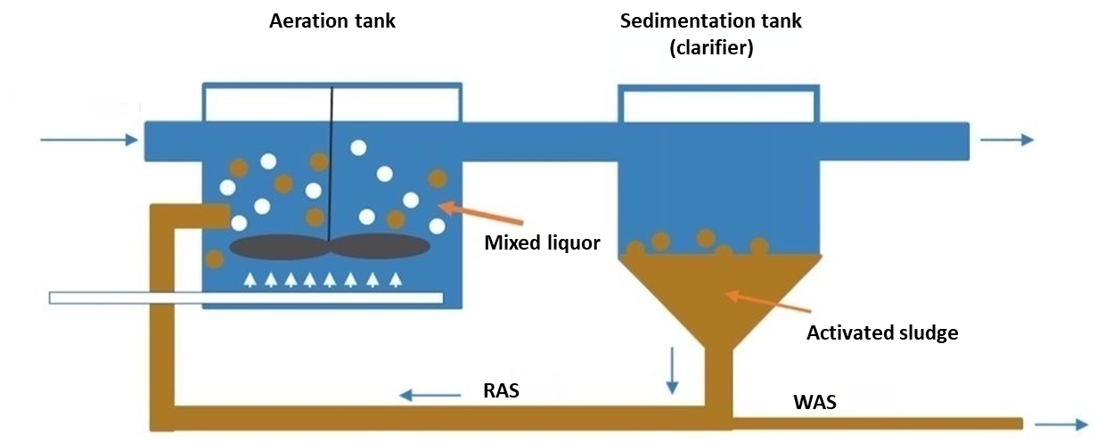 Activated sludge plant